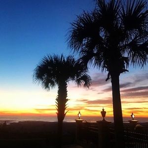 Meet your Posher, Dee